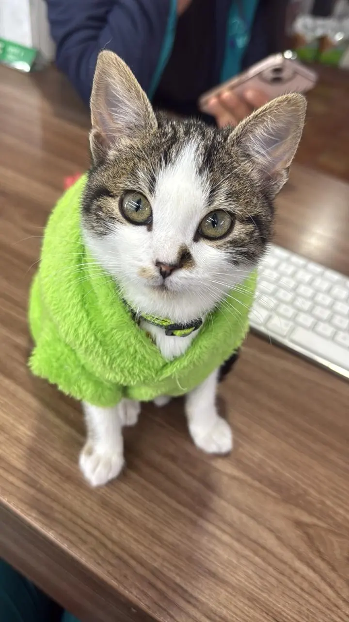 José Julian, paciente de PetLand