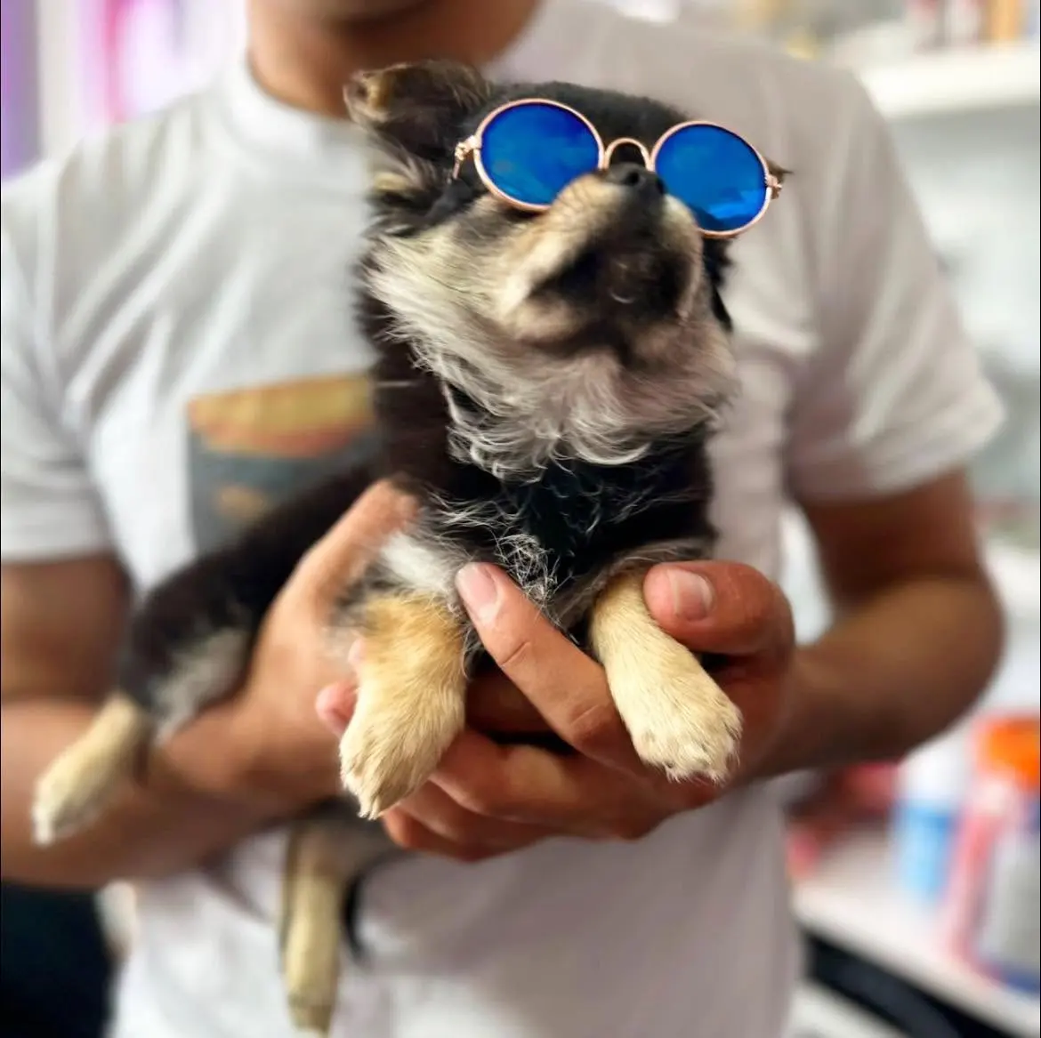 Tina, paciente de PetLand